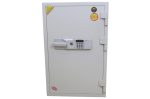 Digital Double Safe (Korea) 220kg