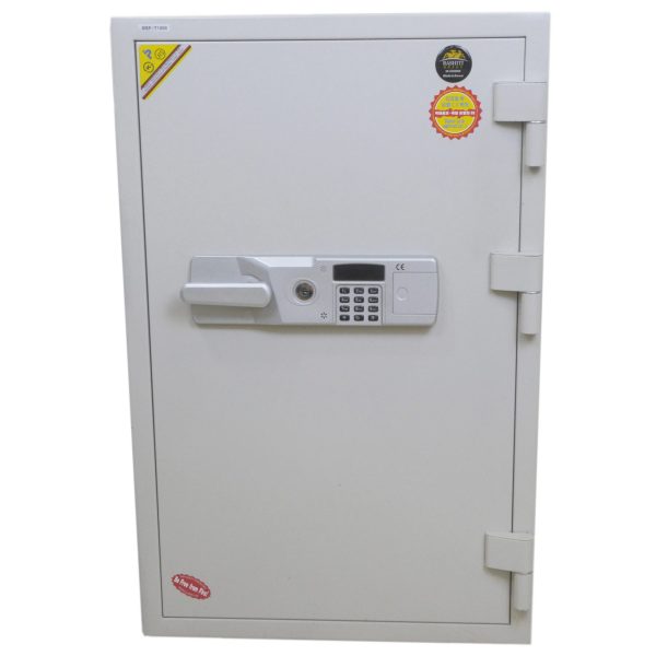 Digital Double Safe (Korea) 220kg