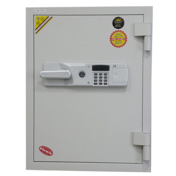 Digital Safe (Korea) 140kg