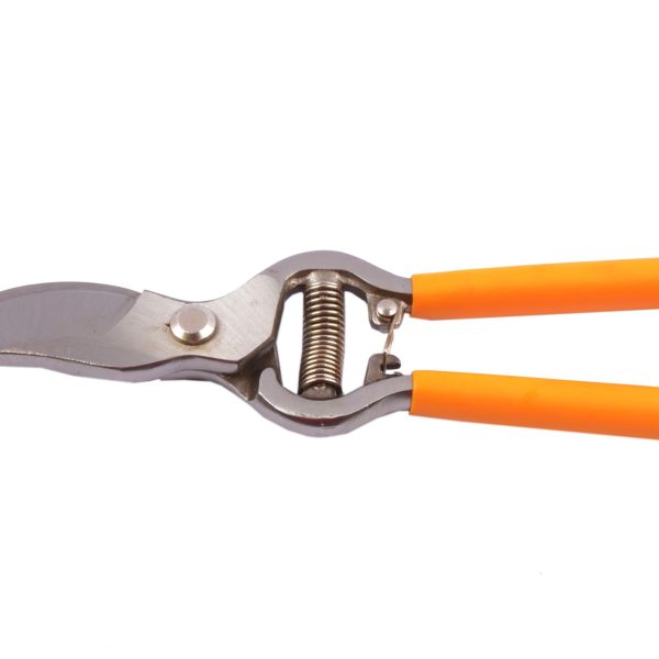Pruning Shear 8Inch