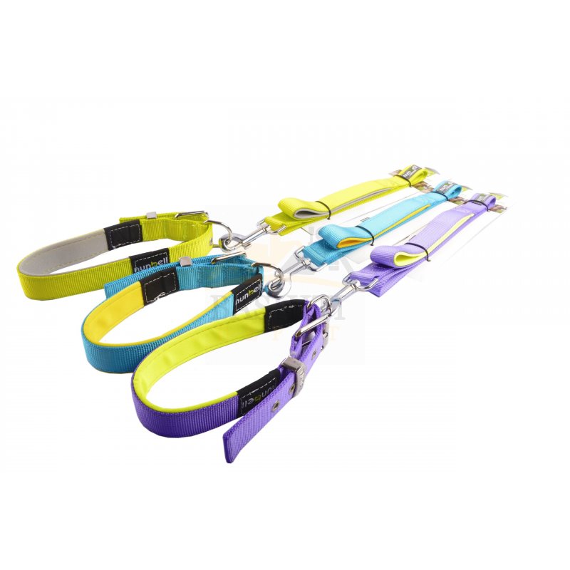 Pet Leash + Collar
