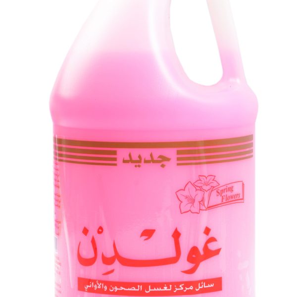 Liquid Dish Wash/Gallon
golden