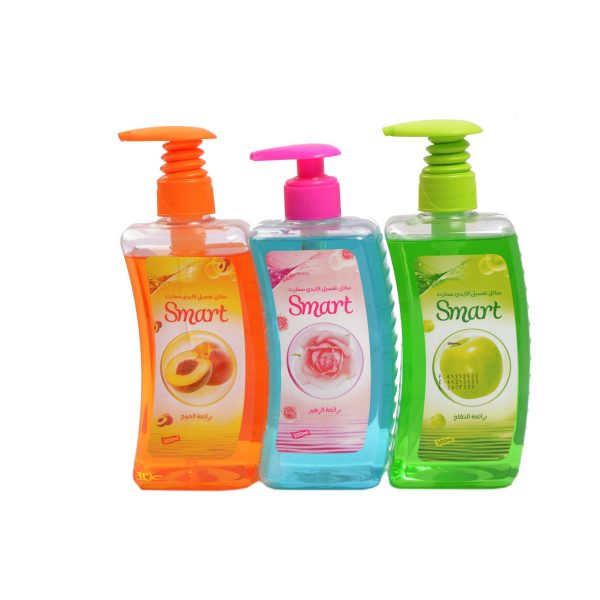 Liquid Handwash/500 ml