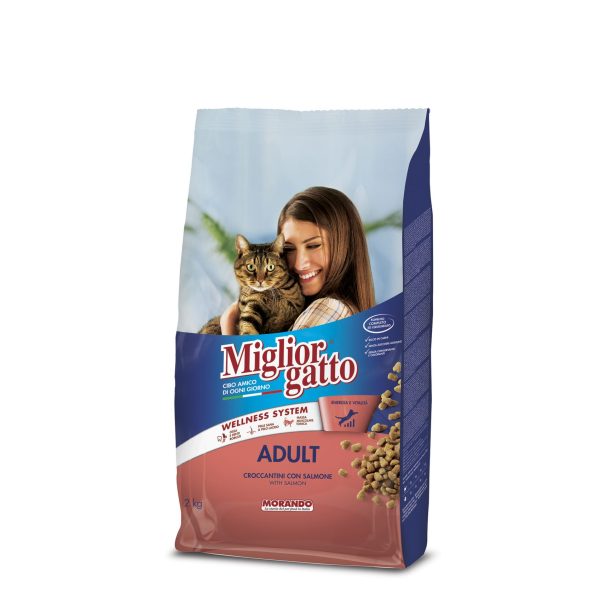 Adult Kibble w/Salmon